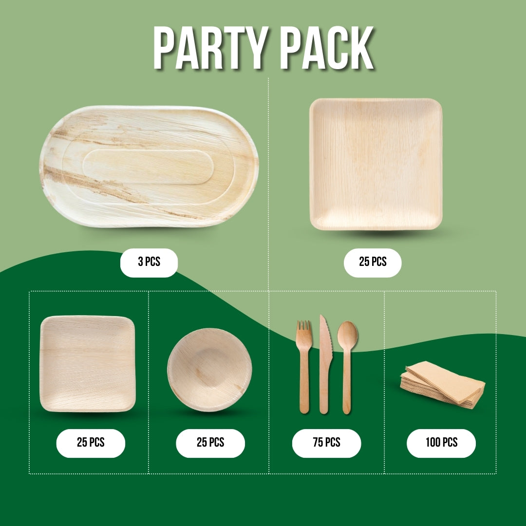 Party Pack - 253 Pcs a Pack